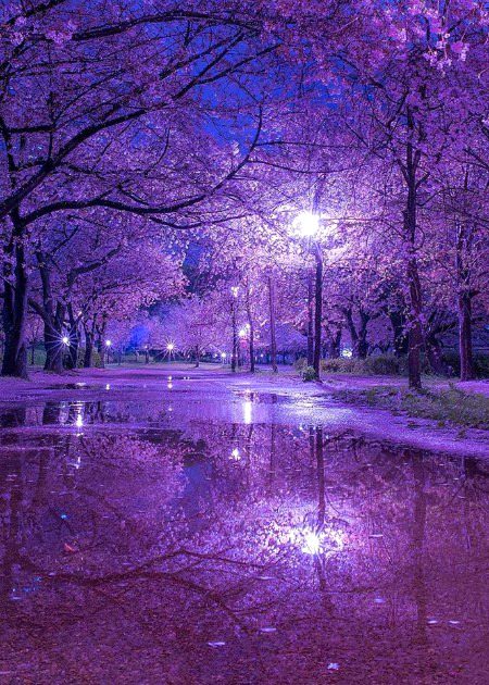 Beautiful Nature image