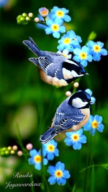 Beautiful Nature image