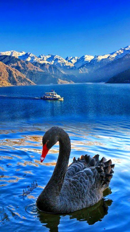 Beautiful Nature image