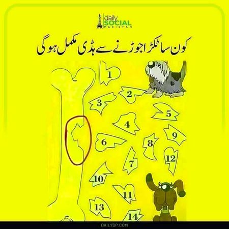 Riddles & Puzzles image