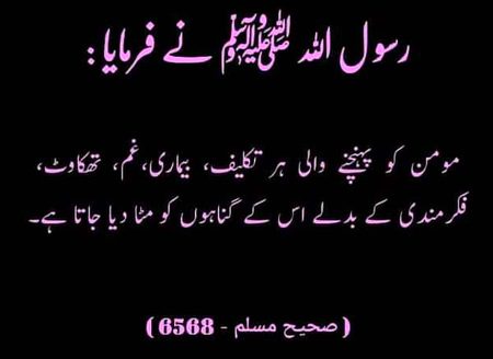 Islamic Quotes image