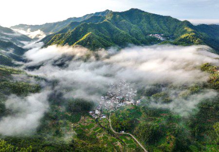 Beautiful Nature image