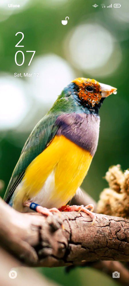 Beautiful Nature image