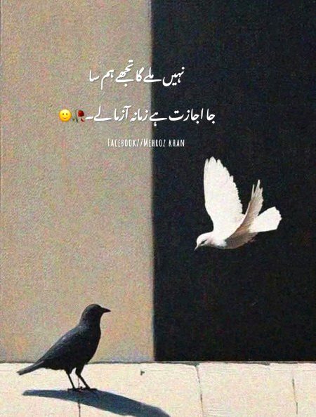 Attitude Poetry image