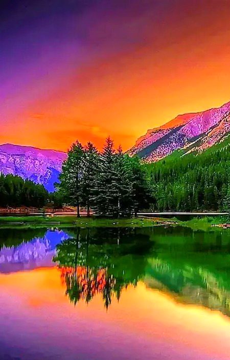 Beautiful Nature image
