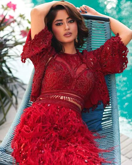 Pakistani Celebs image