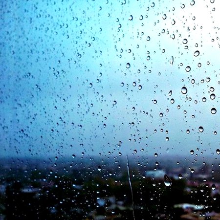 Well come barish