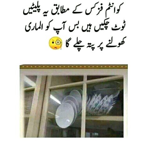 Memes & Satire image