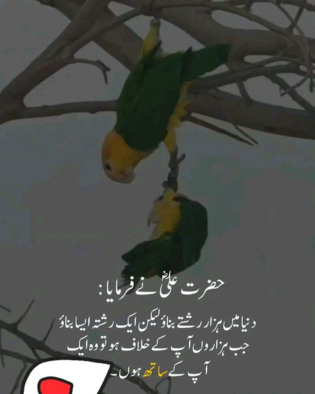 Islamic Quotes image