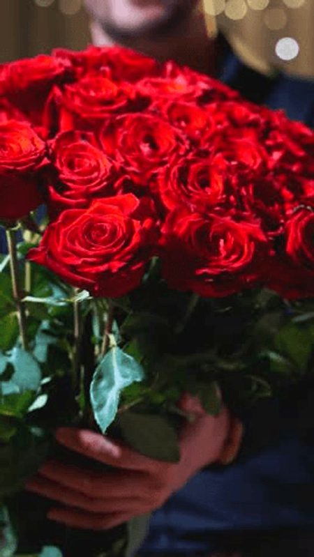 🌹🌹🌹🌹I love flowers 🌹🌹🌹
MishuHassan