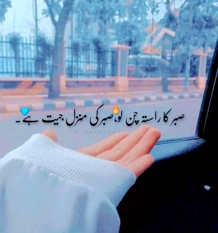 السلام علیکم