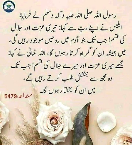 Islamic Quotes image