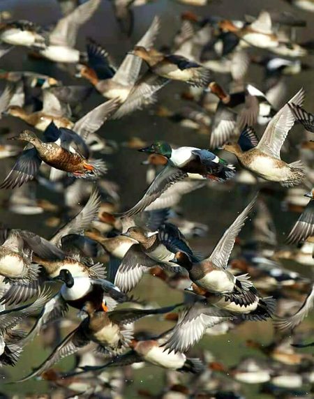 Beautiful Nature image