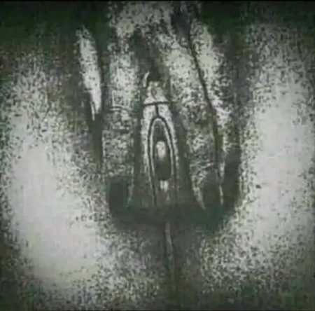 Computer mouse h yr ap log ghalt smjh rhee ho.