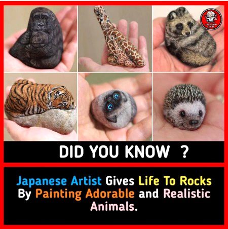Interesting Posts image