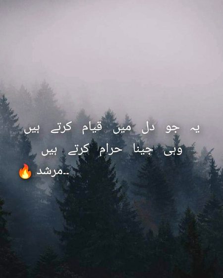 Romantic Poetry image