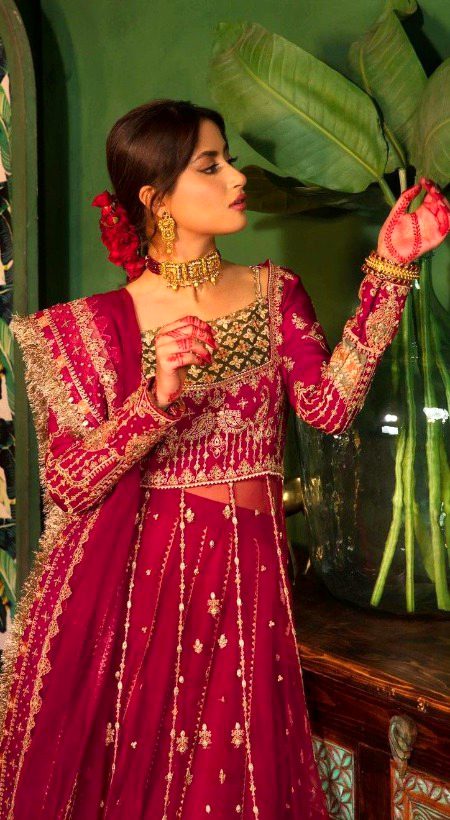 Pakistani Celebs image