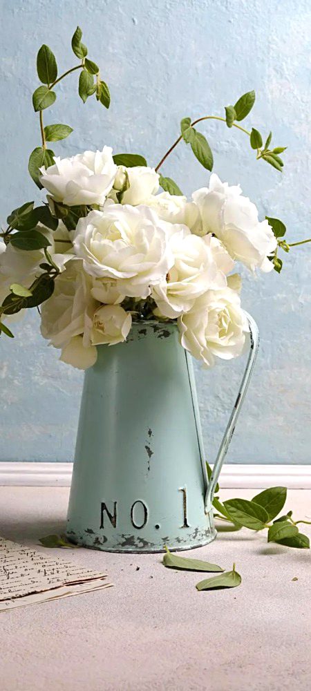 Beautiful Nature image