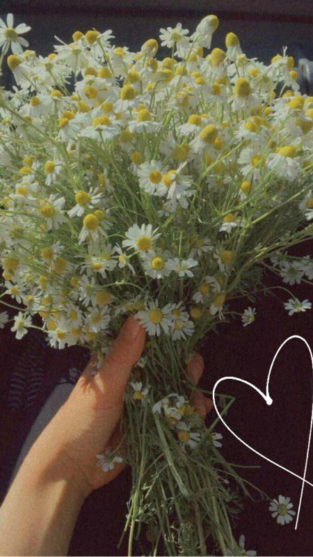 Beautiful Nature image