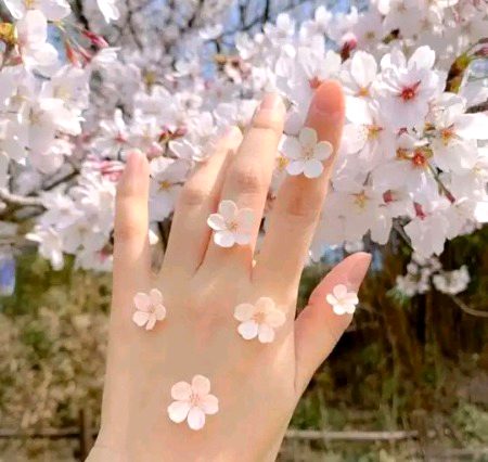 Beautiful Nature image