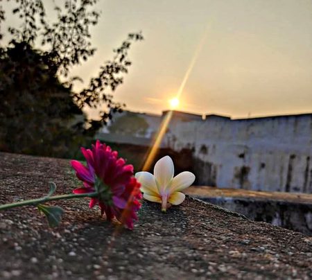 Beautiful Nature image