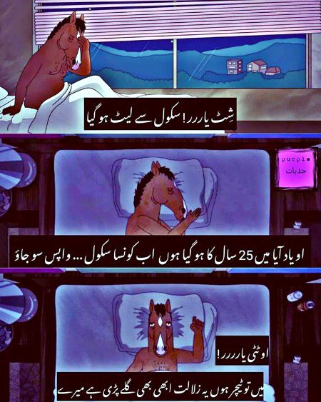 Memes & Satire image