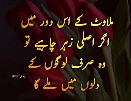 Jo bat hy✌✌