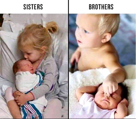 Memes & Satire image