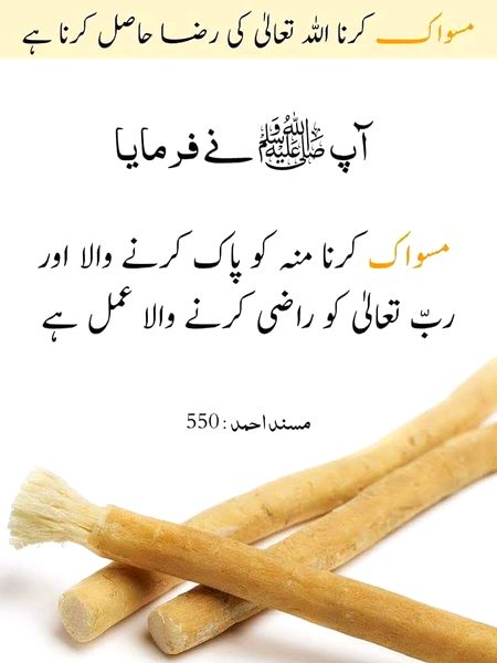 Asslem Alaikum