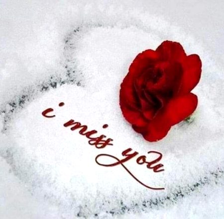 ,   ❣💢♨🌺
.  🌝🤗میں تیری تلاش میں بڑی  دور تک تھا نکل گیا🤝🏻
.    🌹🥰مجھے راستے میں خدا ملا تجھے کیا ملا۔۔۔؟ 🤔