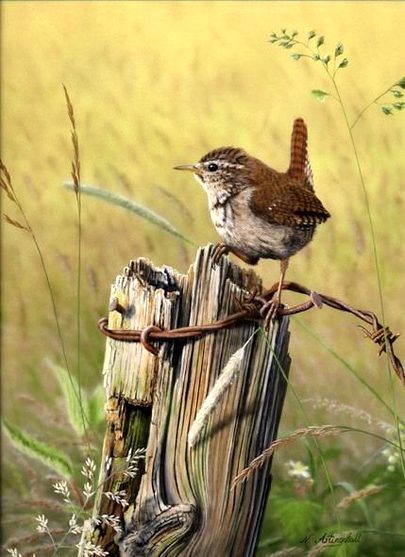 Beautiful Nature image