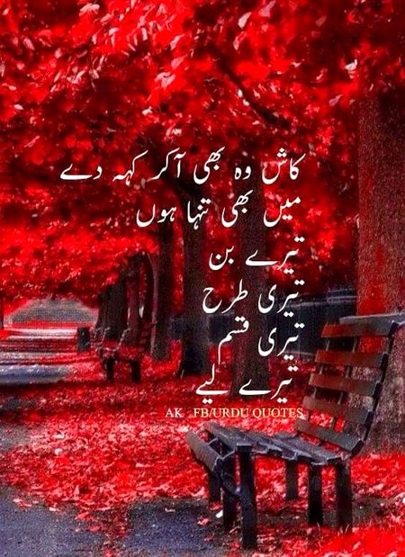 Kah do S tm b mri trhn akeli ho mry bn..❤️❤️🌹🌹🌹