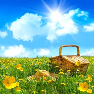 Beautiful Nature image