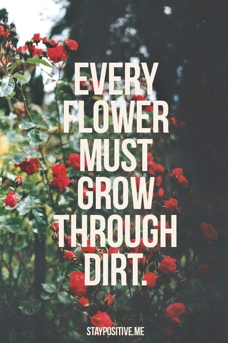 Motivational Quotes image