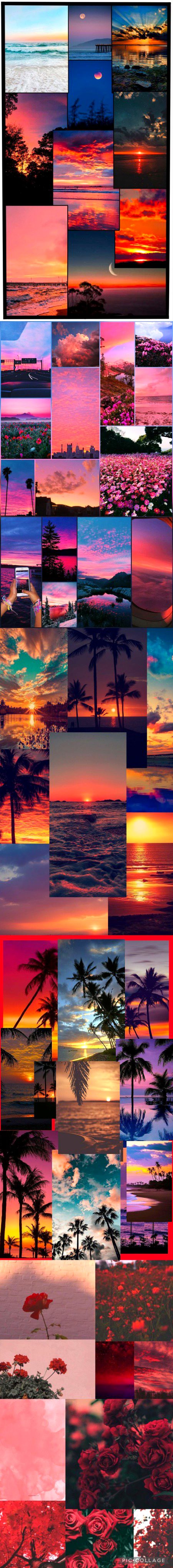 Beautiful Nature image