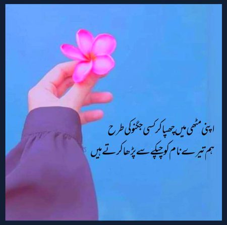Romantic Poetry image