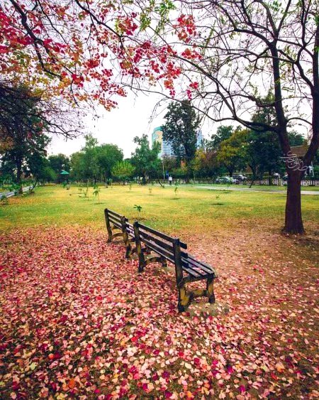 Beautiful Nature image