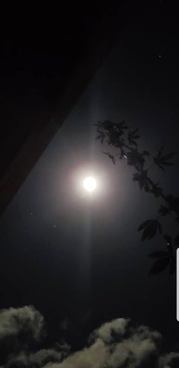 Beautiful Nature image