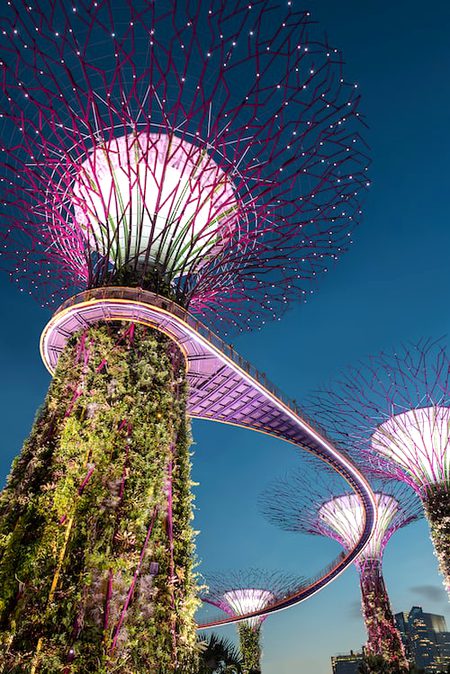 Beautiful Structures image