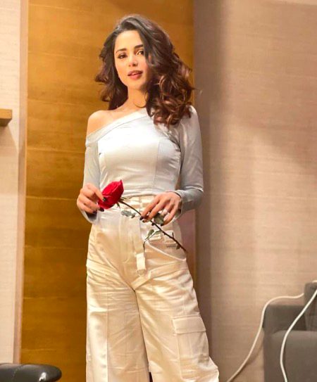 Pakistani Celebs image