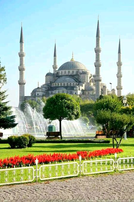 Beautiful Structures image