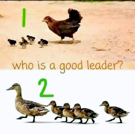 Riddles & Puzzles image