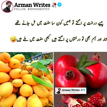 Memes & Satire image