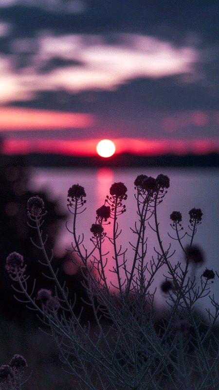 Beautiful Nature image