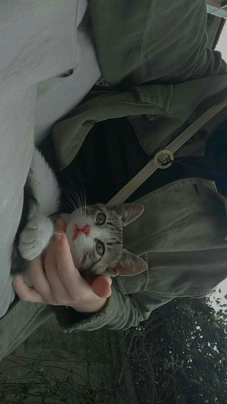 Beautiful Nature image