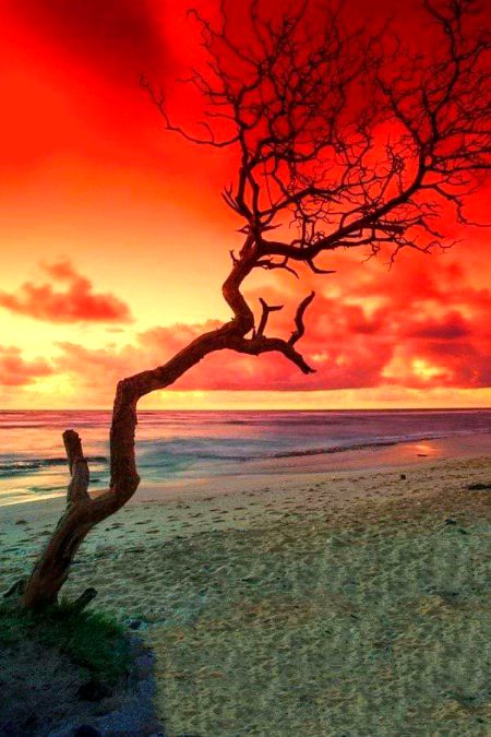 Beautiful Nature image