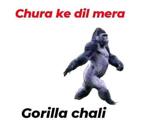 Memes & Satire image