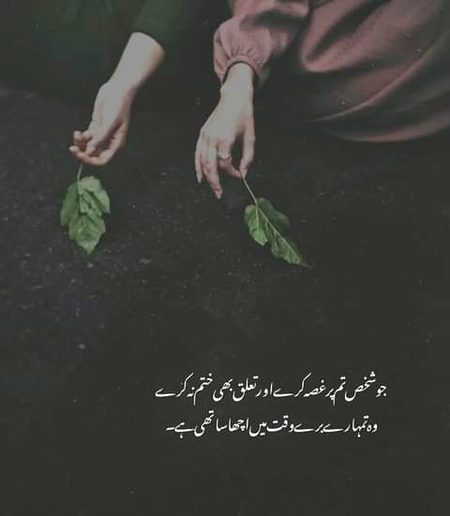 Life Advice image
