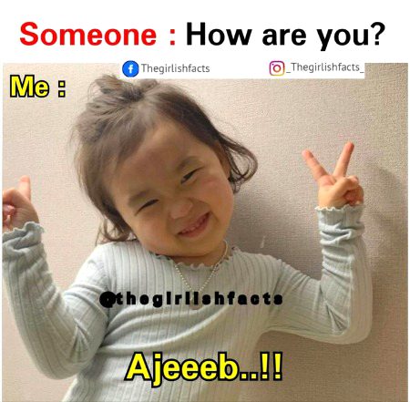 Memes & Satire image