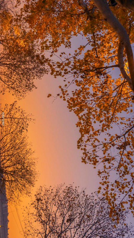 Beautiful Nature image